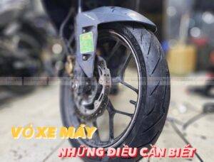Việt Nam có 2 loại vỏ xe máy chính đó là vỏ có ruột thông thường và vỏ không ruột